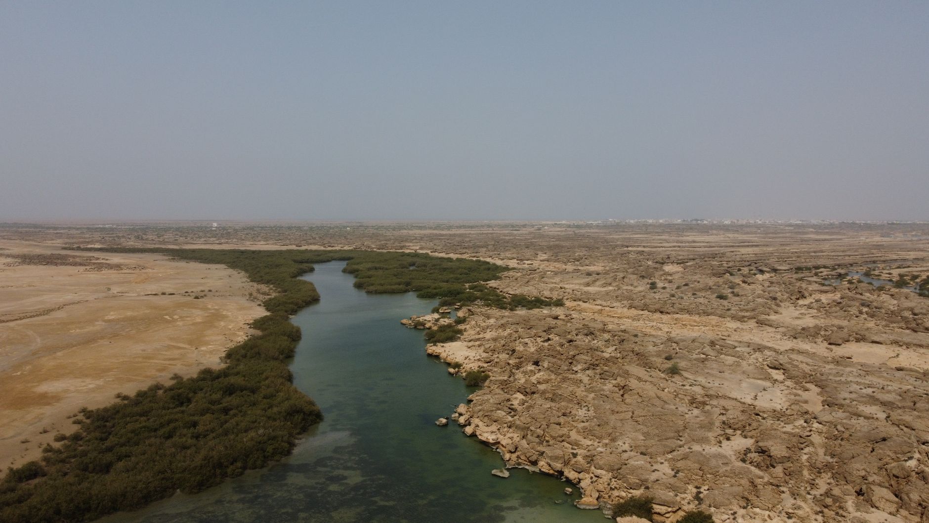 Working in NEOM as an Expat cover image