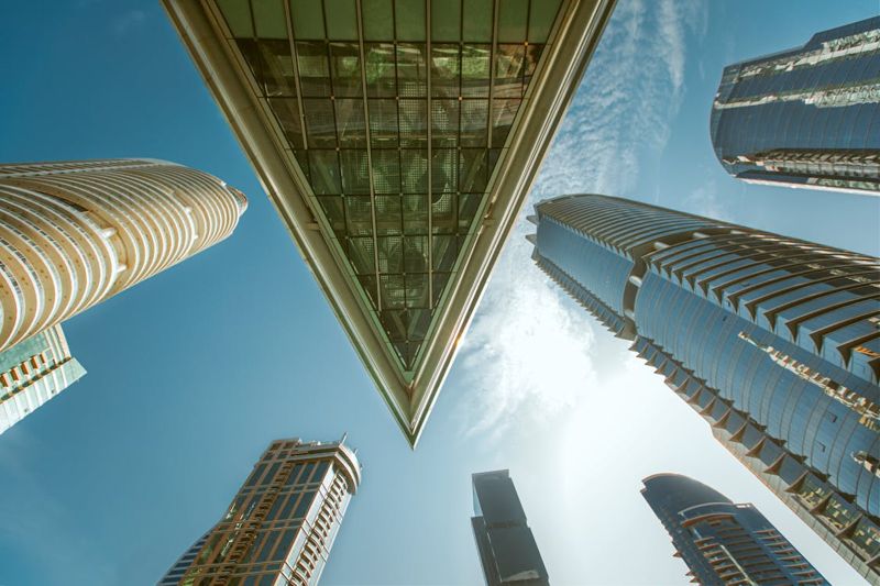 Understanding Dubai's Company Types