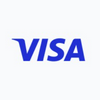 Visa Circular Logo