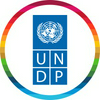UNDP Circular Logo