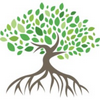 Mangrove Networks Circular Logo