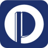 Pinnacle Infotech Circular Logo