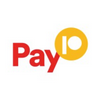 Pay10 Circular Logo