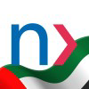 Network International Circular Logo