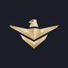 National Security Services Company (SAFE) Circular Logo