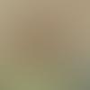 Data Scientist | 3 Years | Machine Learning, Analytics, Database Management Profile Image