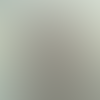 Jobseeker Profile Image