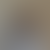 Jobseeker Profile Image