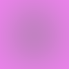Jobseeker Profile Image