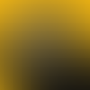 Jobseeker Profile Image